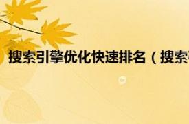 搜索引擎优化快速排名（搜索引擎排名优化相关内容简介介绍）