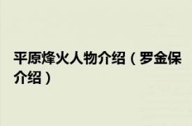 平原烽火人物介绍（罗金保 《平原烽火》中的角色相关内容简介介绍）