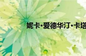 妮卡·爱德华汀·卡塔雅南相关内容简介介绍