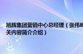 旭辉集团营销中心总经理（张伟峰 旭辉控股集团总裁助理业务拓展总监相关内容简介介绍）