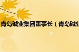 青岛碱业集团董事长（青岛碱业发展有限公司相关内容简介介绍）