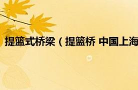 提篮式桥梁（提篮桥 中国上海市虹口区桥梁相关内容简介介绍）