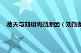 葛天与刘翔离婚原因（刘翔葛天离婚事件相关内容简介介绍）