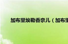 加布里埃勒香奈儿（加布里埃香奈儿相关内容简介介绍）