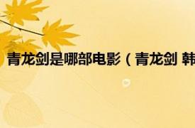 青龙剑是哪部电影（青龙剑 韩磊编剧的电影相关内容简介介绍）