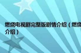 燃烧电视剧完整版剧情介绍（燃烧 2015年吴斌执导的电视剧相关内容简介介绍）