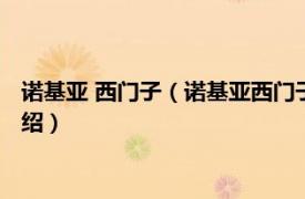 诺基亚 西门子（诺基亚西门子通信技术有限公司相关内容简介介绍）