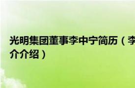 光明集团董事李中宁简历（李中宁 光明集团副董事长相关内容简介介绍）