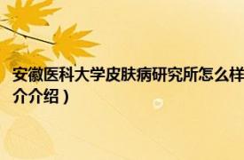 安徽医科大学皮肤病研究所怎么样（安徽医科大学皮肤病研究所相关内容简介介绍）