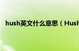 hush英文什么意思（Hush 英语单词相关内容简介介绍）