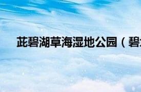 茈碧湖草海湿地公园（碧塔海湿地相关内容简介介绍）