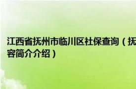 江西省抚州市临川区社保查询（抚州市临川区人力资源和社会保障局相关内容简介介绍）