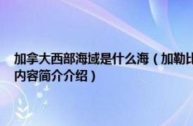 加拿大西部海域是什么海（加勒比海 西半球热带大西洋海域的一个海相关内容简介介绍）