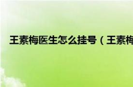 王素梅医生怎么挂号（王素梅 医务工作者相关内容简介介绍）