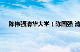 陈伟强清华大学（陈国强 清华大学教授相关内容简介介绍）