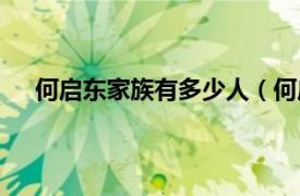 何启东家族有多少人（何启东家族相关内容简介介绍）