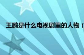 王鹏是什么电视剧里的人物（王子鹏 演员相关内容简介介绍）