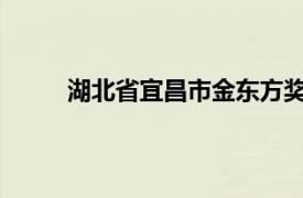 湖北省宜昌市金东方奖学金基金会相关内容简介