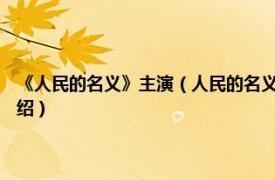 《人民的名义》主演（人民的名义 2017年李路执导电视剧相关内容简介介绍）