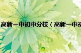 高新一中初中分校（高新一中初中校区电视台相关内容简介介绍）