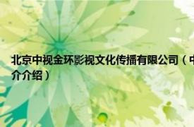 北京中视金环影视文化传播有限公司（中环凯旋 北京影视文化传媒有限公司相关内容简介介绍）