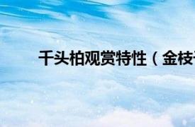 千头柏观赏特性（金枝千头柏相关内容简介介绍）