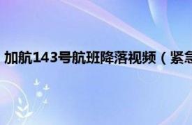 加航143号航班降落视频（紧急降落航班174相关内容简介介绍）