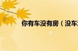 你有车没有房（没车没房相关内容简介介绍）