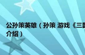 公孙策英雄（孙策 游戏《三国杀英雄传》中的英雄相关内容简介介绍）