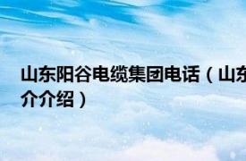 山东阳谷电缆集团电话（山东阳谷电缆集团有限公司相关内容简介介绍）