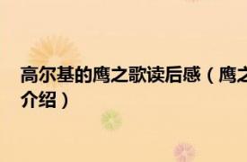 高尔基的鹰之歌读后感（鹰之歌：高尔基散文经典相关内容简介介绍）