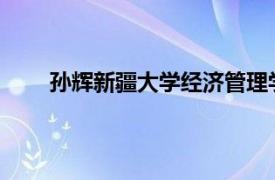 孙辉新疆大学经济管理学院教授、博士生导师简介