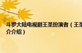 斗罗大陆电视剧王圣扮演者（王圣 电视剧《斗罗大陆》的人物相关内容简介介绍）