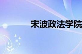 宋波政法学院哲学系讲师简介