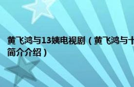 黄飞鸿与13姨电视剧（黄飞鸿与十三姨 2005年刘家辉主演电视剧相关内容简介介绍）