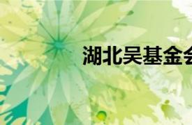 湖北吴基金会相关内容简介