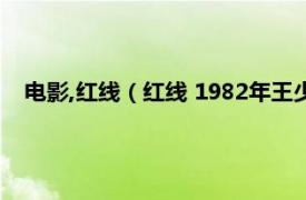 电影,红线（红线 1982年王少岩执导电影相关内容简介介绍）