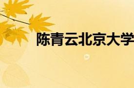 陈青云北京大学政府管理学院教授