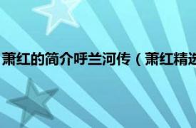 萧红的简介呼兰河传（萧红精选集：呼兰河传相关内容简介介绍）