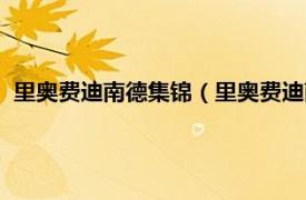 里奥费迪南德集锦（里奥费迪南德亦父亦母相关内容简介介绍）