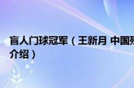 盲人门球冠军（王新月 中国残疾人盲人门球运动员相关内容简介介绍）