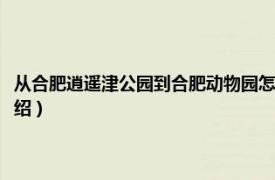 从合肥逍遥津公园到合肥动物园怎么走（合肥逍遥津动物园相关内容简介介绍）