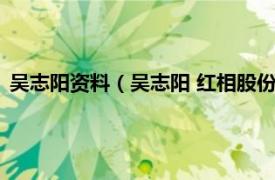 吴志阳资料（吴志阳 红相股份副董事长董事相关内容简介介绍）