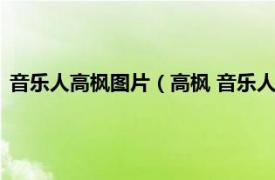 音乐人高枫图片（高枫 音乐人、中国男歌手相关内容简介介绍）