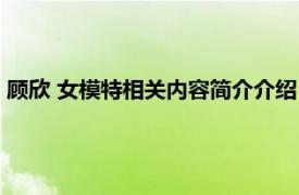 顾欣 女模特相关内容简介介绍（顾欣 女模特相关内容简介介绍）