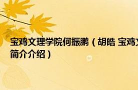 宝鸡文理学院何振鹏（胡皓 宝鸡文理学院电子电气工程系副主任相关内容简介介绍）