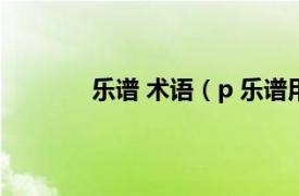 乐谱 术语（p 乐谱用语相关内容简介介绍）