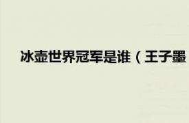 冰壶世界冠军是谁（王子墨 冰壶运动员相关内容简介介绍）