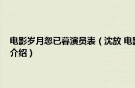 电影岁月忽已暮演员表（沈放 电影《岁月忽已暮》中的角色相关内容简介介绍）