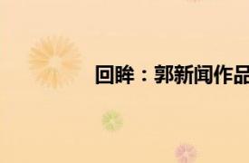 回眸：郭新闻作品研讨会相关内容简介